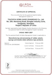 ISO 9001 (中国語)